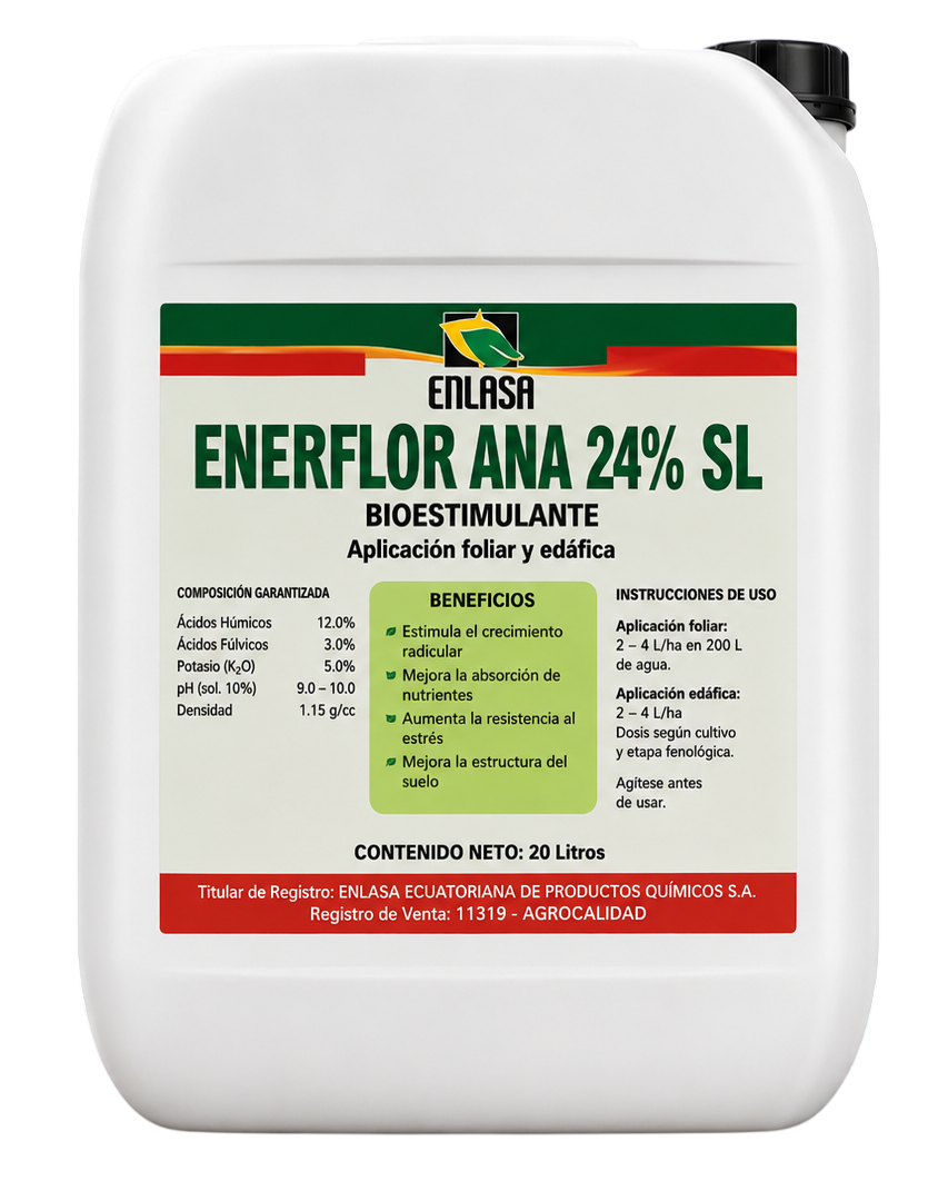 Enerflor ANA 24% SL
